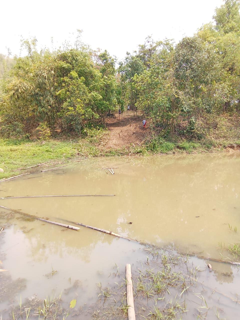 I:\Medical Leave Gordon\VILLAGE REPORT PICTURES\JIRANG BLOCK\Belaheri\9.Fire control line 2\WhatsApp Image 2023-03-01 at 16.49.47.jpeg